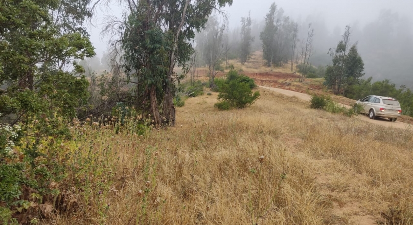 TERRENO CAJON DEL LEBU LADO LIMACHE